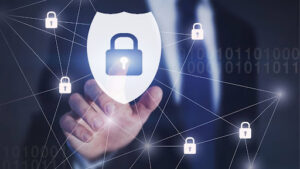 68d14cfd7a46c1758547197