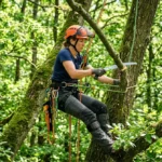 Élagueur professionnel suspendu dans les arbres utilisant une scie à main pour apprendre comment devenir élagueur qualifié.