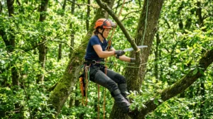 Élagueur professionnel suspendu dans les arbres utilisant une scie à main pour apprendre comment devenir élagueur qualifié.